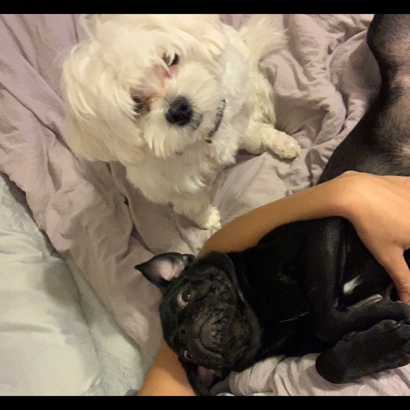 ⭐️⭐️CHECK OUT 💥⚡️✨💫 - Picture 3 of 8